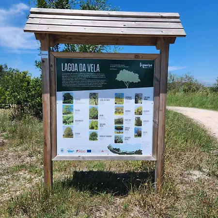 Dom wakacyjny Casa Dos Patos Quiaios Figueira da Foz