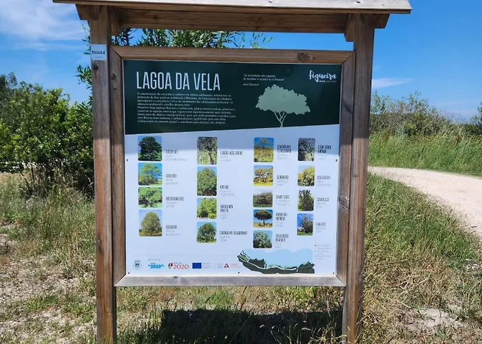 別荘 Casa Dos Patos Quiaios フィゲイラ・ダ・フォズ